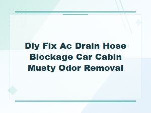 Diy Fix Ac Drain Hose Blockage Car Cabin Musty Odor Removal