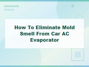 How to Eliminate Mold Smell From Car Ac Evaporator Fast