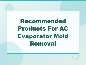 Best Ac Evaporator Mold Removal Products for Clean Air