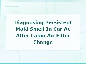 Diagnosing Persistent Mold Smell in Car Ac After Replacing Cabin Air Filter