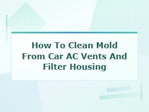 Cleaning Mold From Car Ac Vents and Filter Housing