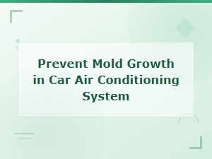 How to Prevent Mold Growth in Your Car's Air Conditioning System