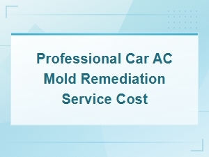 Professional Car Ac Mold Remediation Service Cost Guide