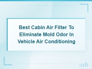 Best Cabin Air Filters to Eliminate Mold Odor From Your Car Ac System