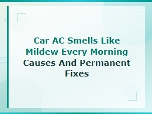 How to Prevent and Permanently Fix a Musty Mildew Smell in Your Car Ac