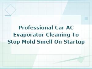 Professional Car Ac Evaporator Cleaning to Stop Mold Smell on Startup